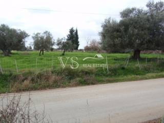 Άποψη οικοπέδου