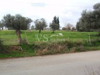 Άποψη οικοπέδου