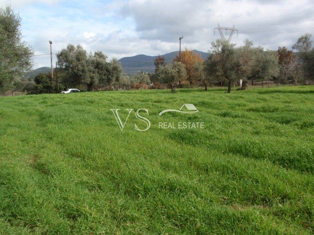 Άποψη οικοπέδου