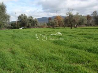 Άποψη οικοπέδου