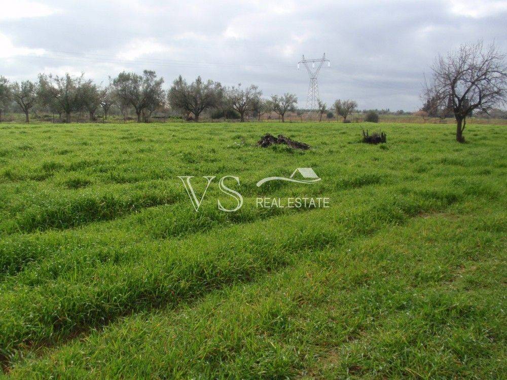 Άποψη οικοπέδου