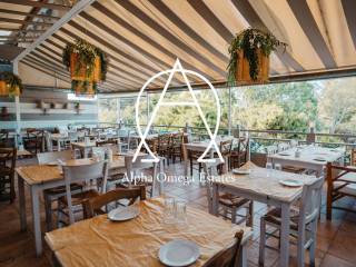 Protos orophos - Beranta