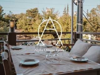 Protos orophos - Beranta