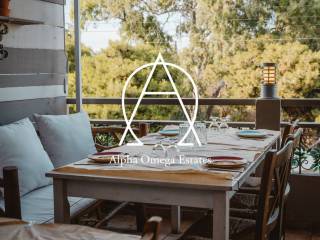 Protos orophos - Beranta