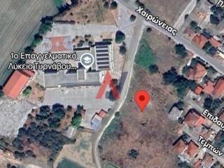 1392 ταφεκη.jpeg