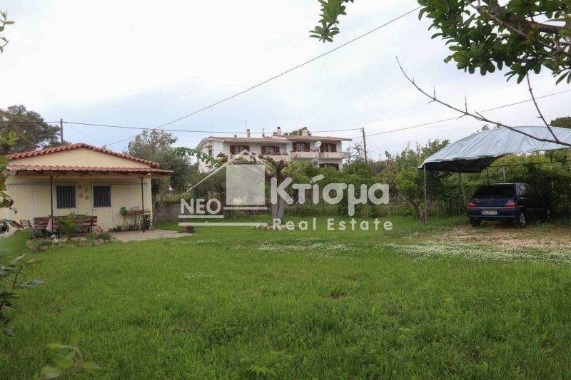 Εξωτερικός χώρος