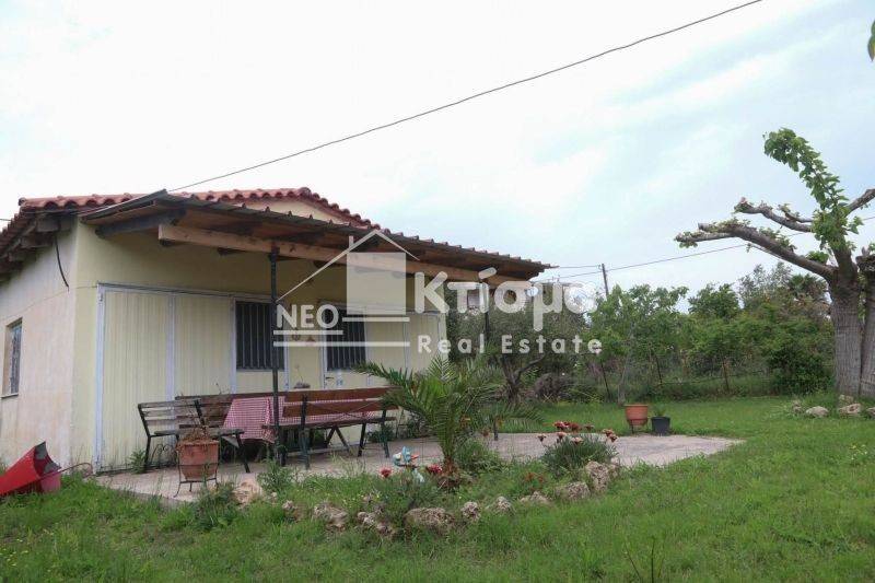 Εξωτερικός χώρος