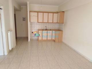 Σαλοκουζίνα