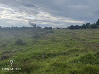 Forumland Real Estate, αγροτεμάχιο