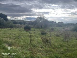 Forumland Real Estate, Αγροτεμάχιο