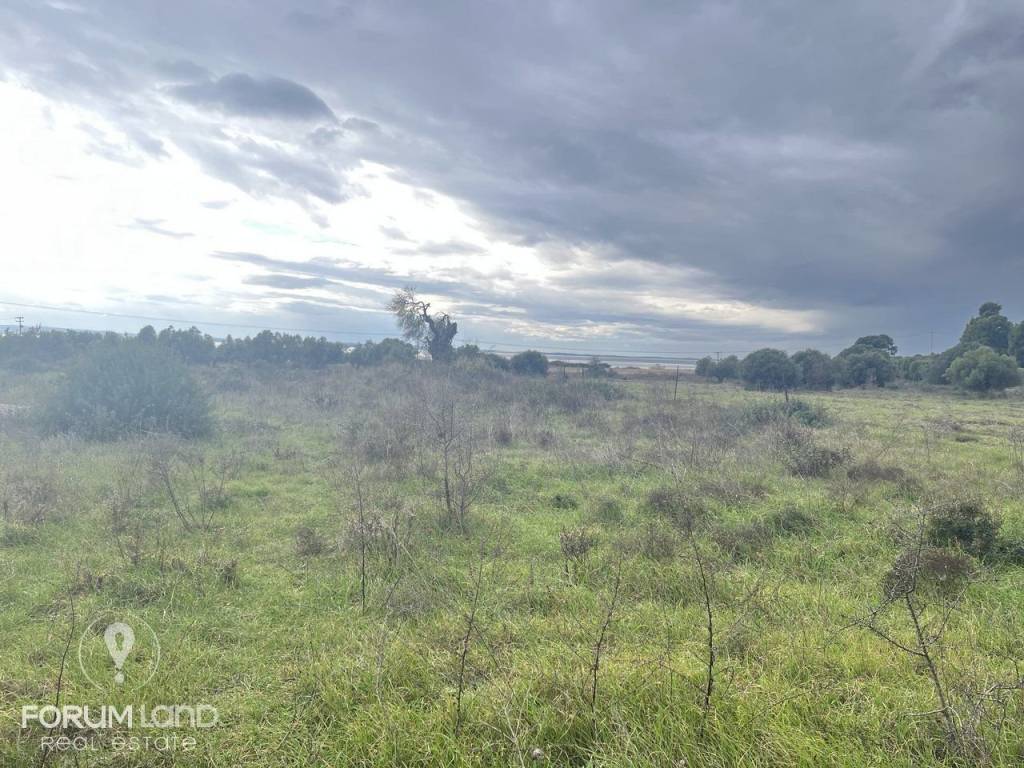 Forumland Real Estate, αγροτεμάχιο