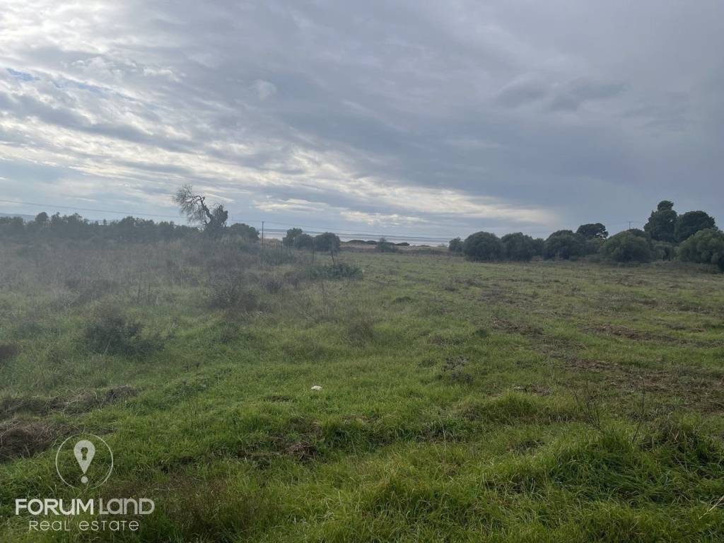 Forumland Real Estate, αγροτεμάχιο