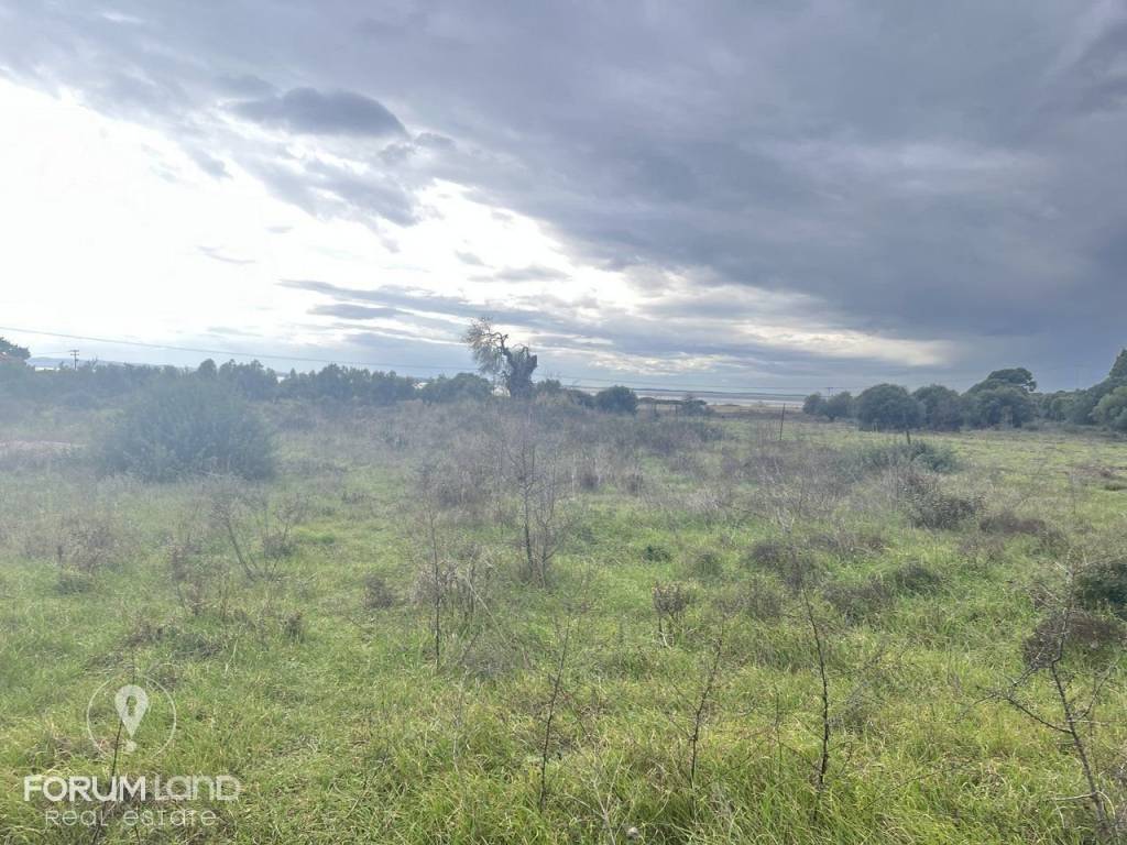 Forumland Real Estate, αγροτεμάχιο