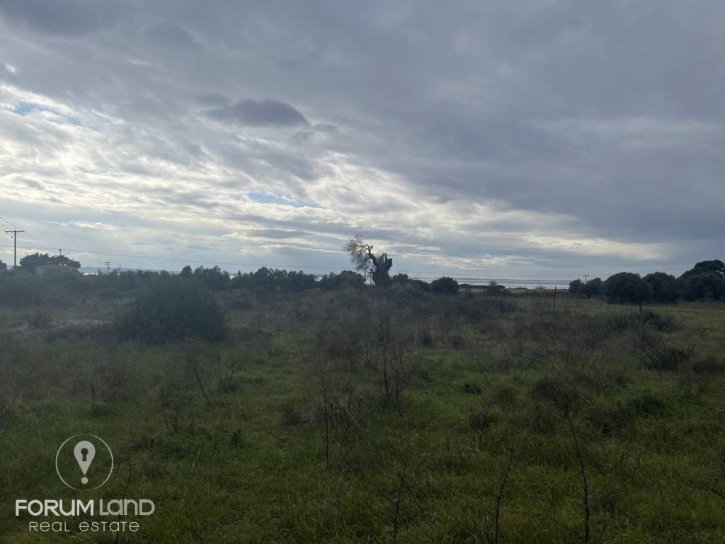 Forumland Real Estate, αγροτεμάχιο
