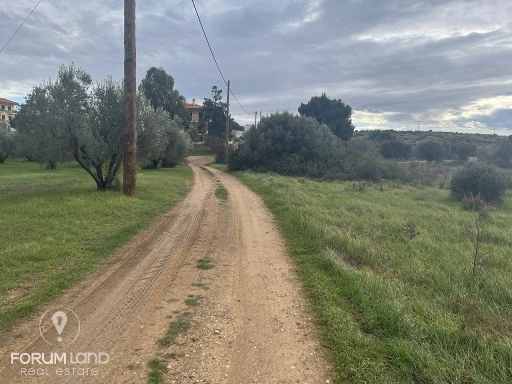 Forumland Real Estate,  αγροτεμάχιο