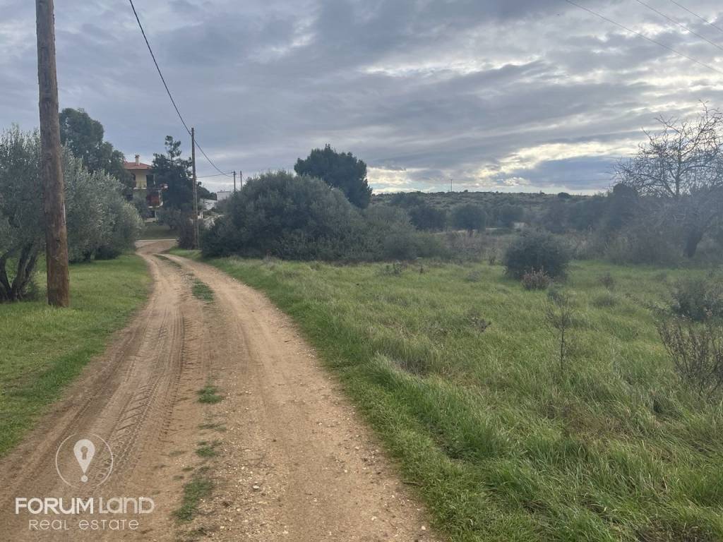 Forumland Real Estate, Αγροτεμάχιο