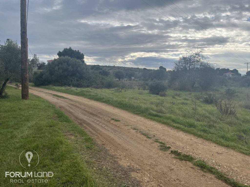 Forumland Real Estate,  αγροτεμάχιο