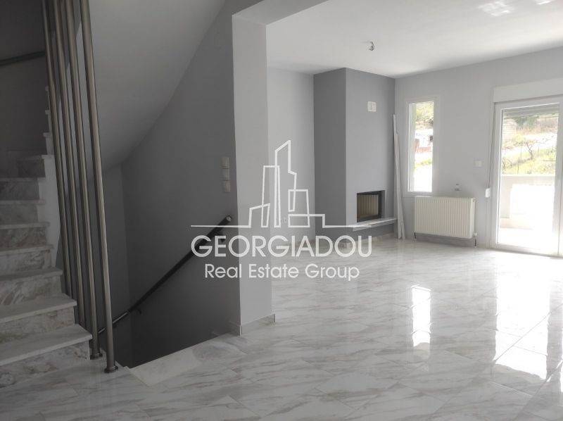 Σαλοκουζίνα