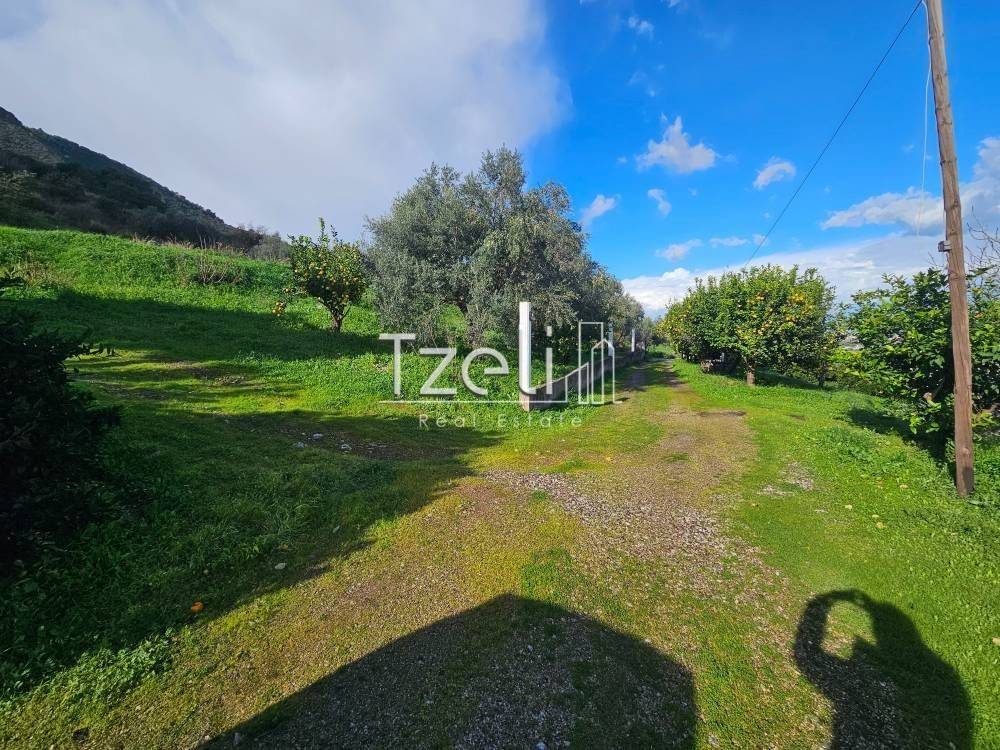 Άποψη οικοπέδου