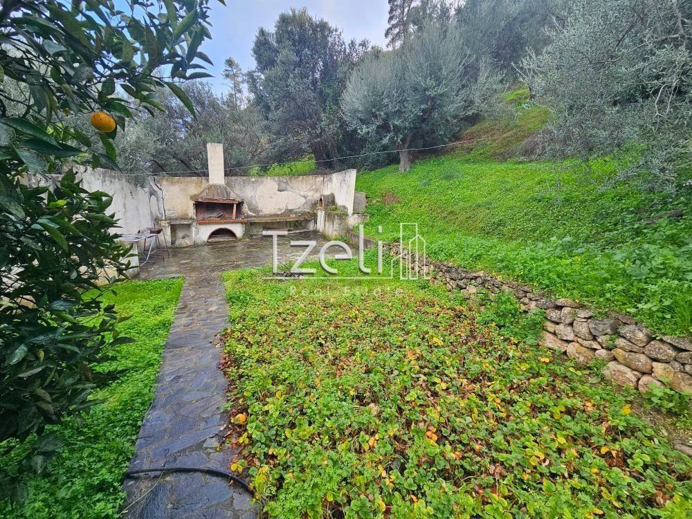 Άποψη οικοπέδου