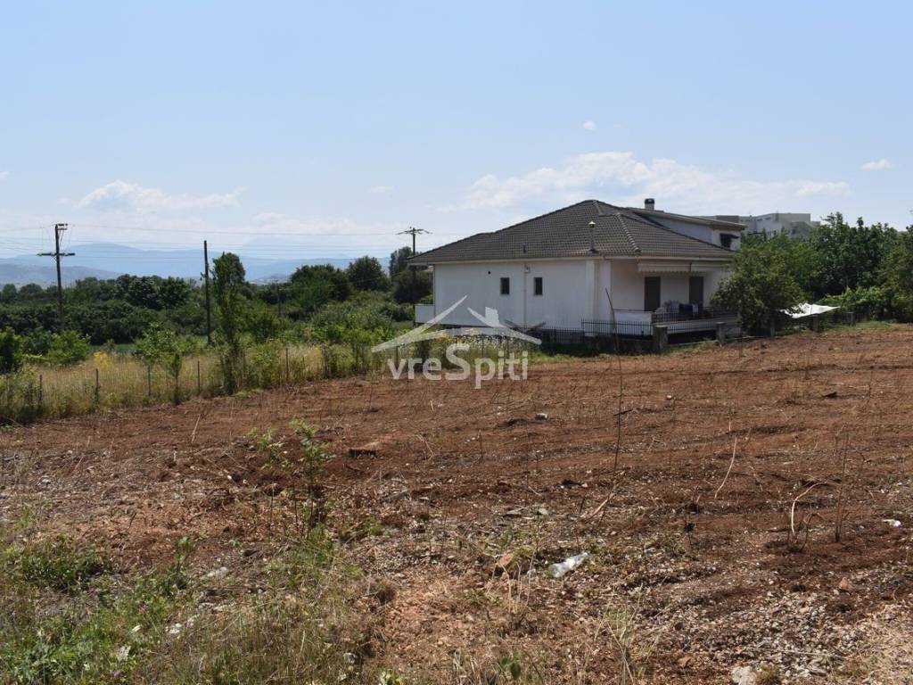 ΑΠΟΨΗ ΟΙΚΟΠΕΔΟΥ