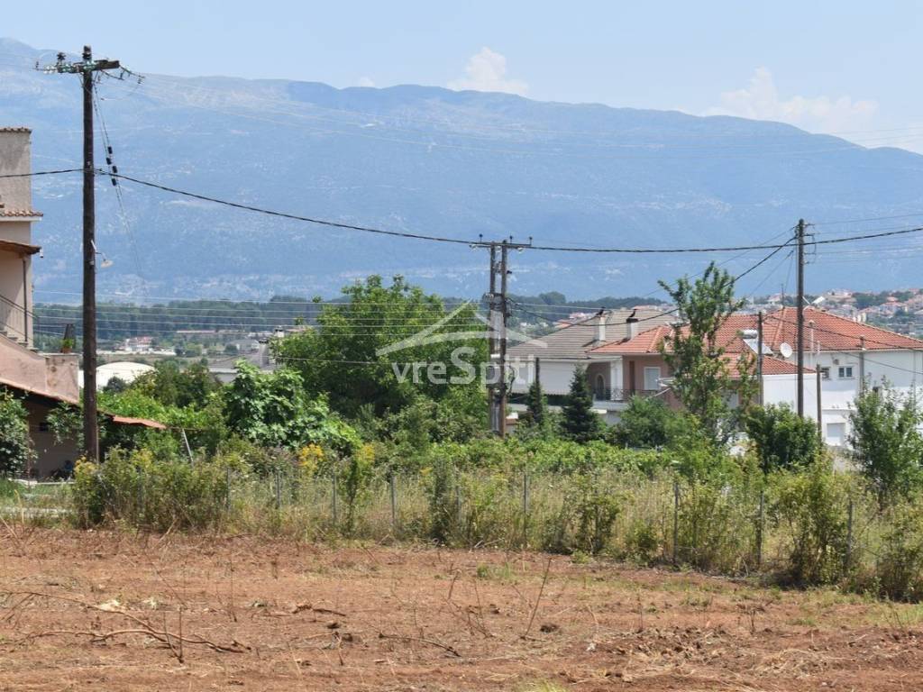 ΑΠΟΨΗ ΟΙΚΟΠΕΔΟΥ