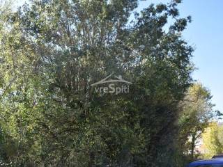 ΑΠΟΨΗ ΟΙΚΟΠΕΔΟΥ