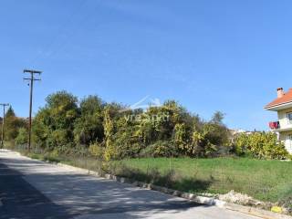 ΑΠΟΨΗ ΟΙΚΟΠΕΔΟΥ