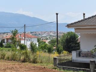 ΑΠΟΨΗ ΟΙΚΟΠΕΔΟΥ