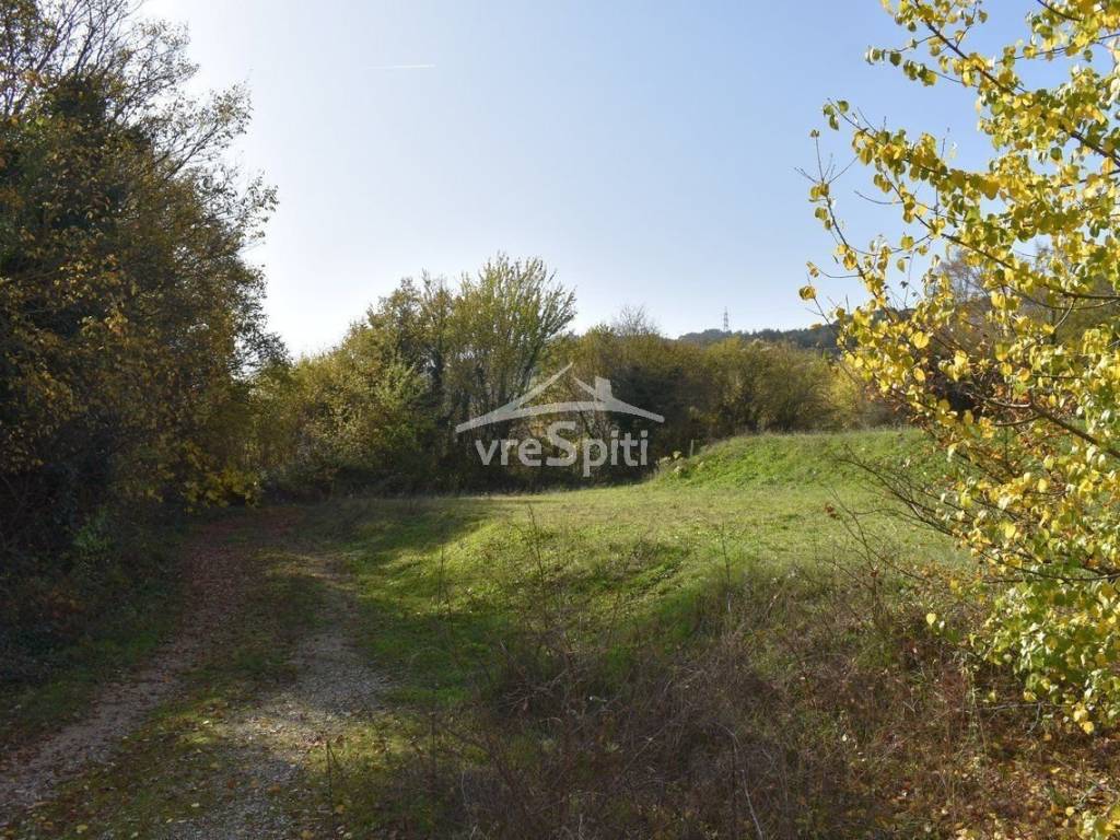 ΑΠΟΨΗ ΟΙΚΟΠΕΔΟΥ