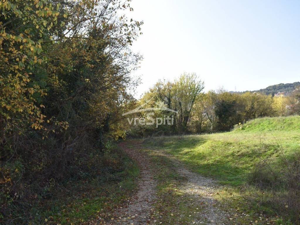 ΑΠΟΨΗ ΟΙΚΟΠΕΔΟΥ