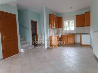 Σαλοκουζίνα