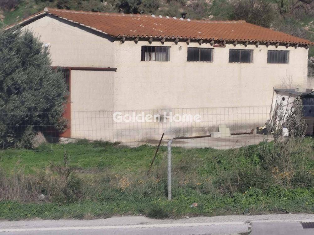 Εξωτερικός Χώρος