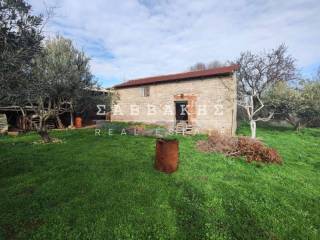 Ύπαρξη ανθρώπου