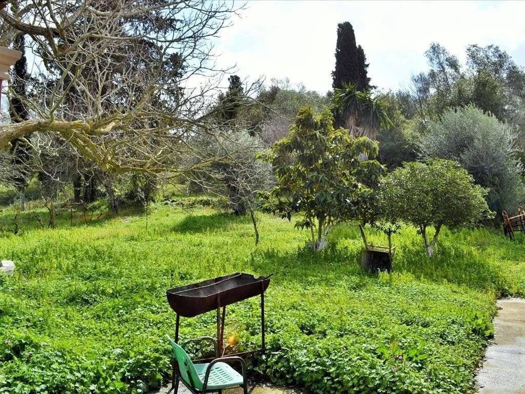 Detached - Grekodom 43996|642009