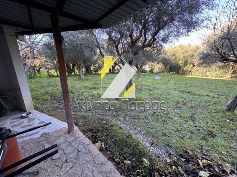 ΑΠΟΨΗ ΧΩΡΟΥ