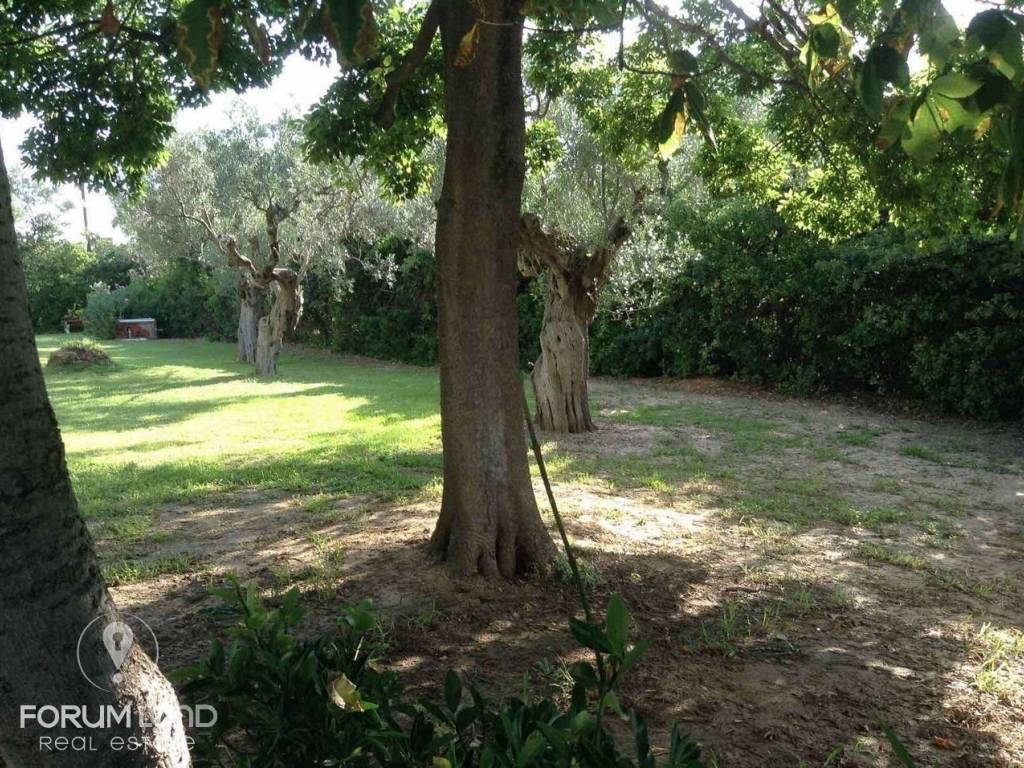 Forumland Real Estate, Εξωτερικός Χώρος