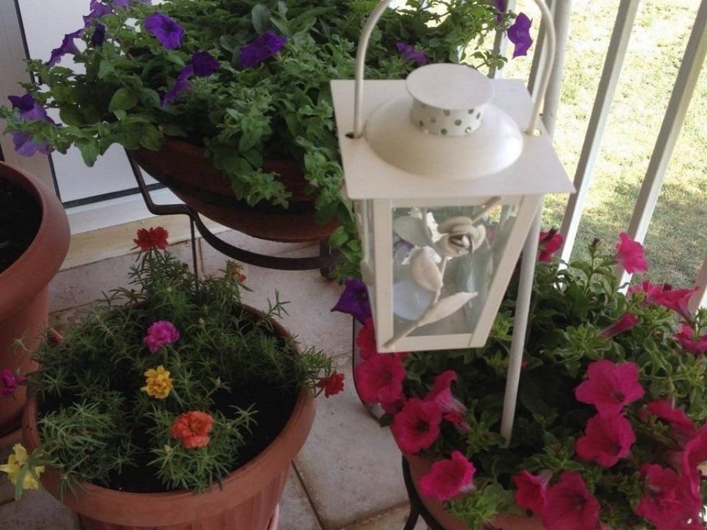 Forumland Real Estate, Βεράντες