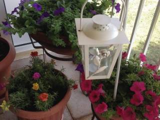 Forumland Real Estate, Βεράντες