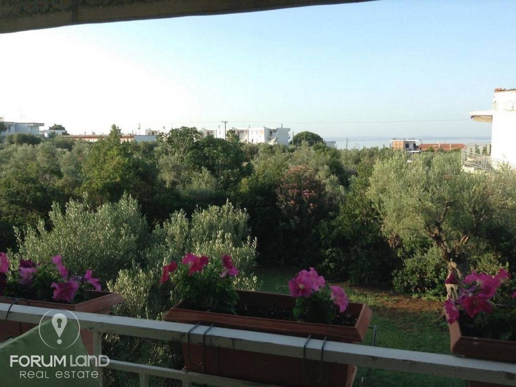 Forumland Real Estate, Εξωτερικός Χώρος