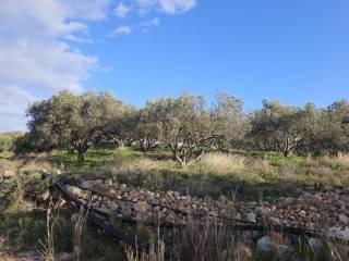 Plot - Grekodom 65150|1041803