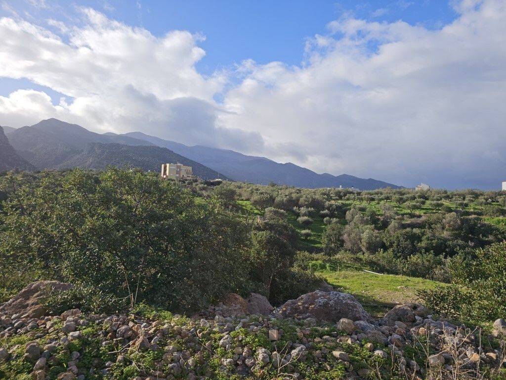 Plot - Grekodom 65150|1041805