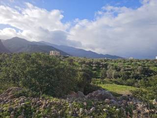 Plot - Grekodom 65150|1041805