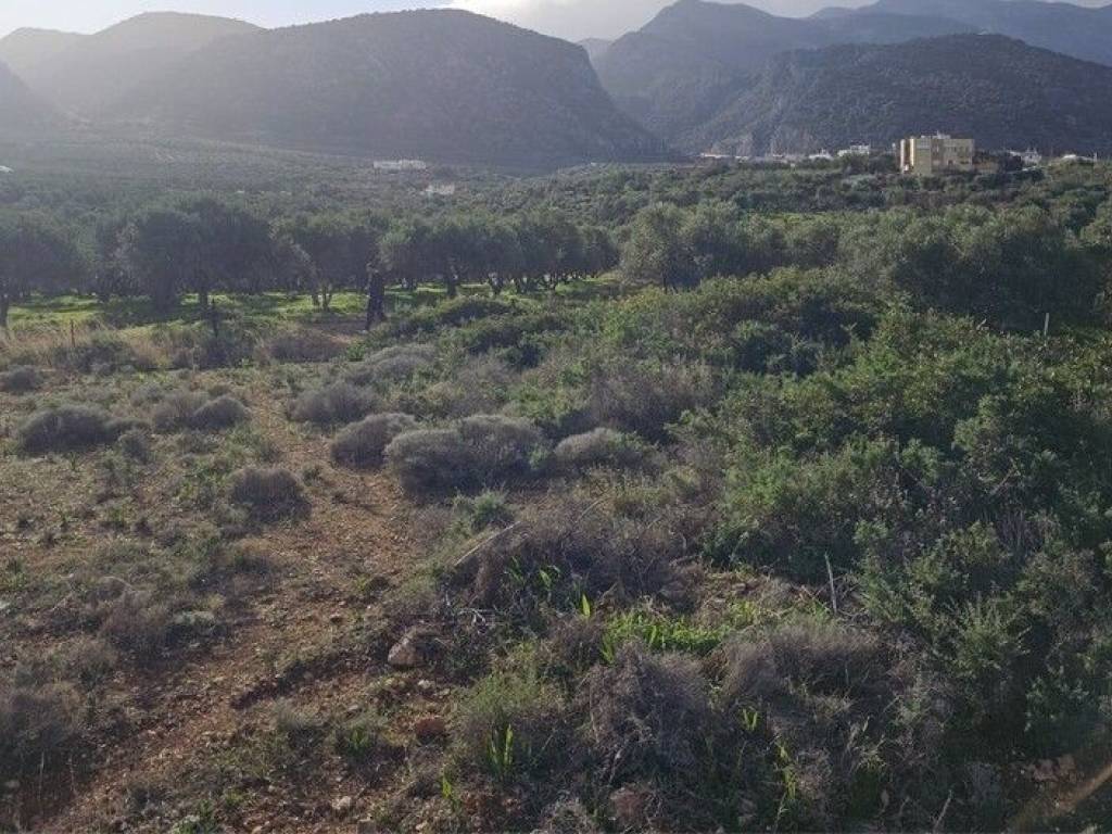 Plot - Grekodom 65150|1041807