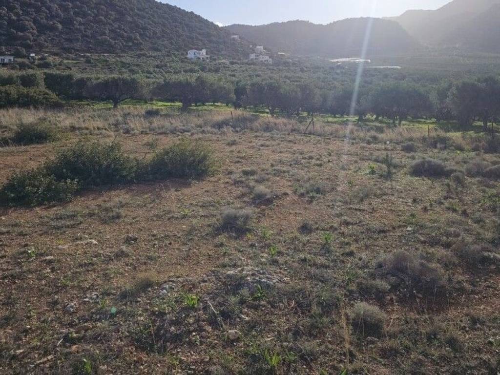 Plot - Grekodom 65150|1041808