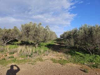 Plot - Grekodom 65150|1041809