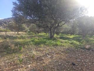 Plot - Grekodom 65150|1041810