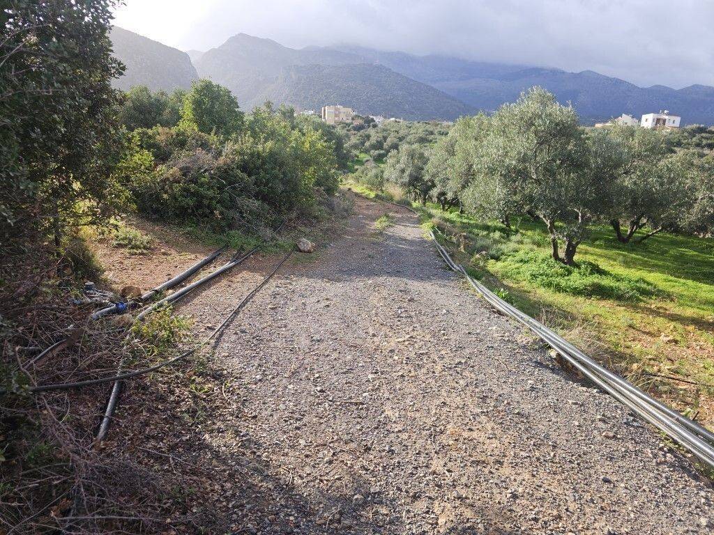 Plot - Grekodom 65150|1041811