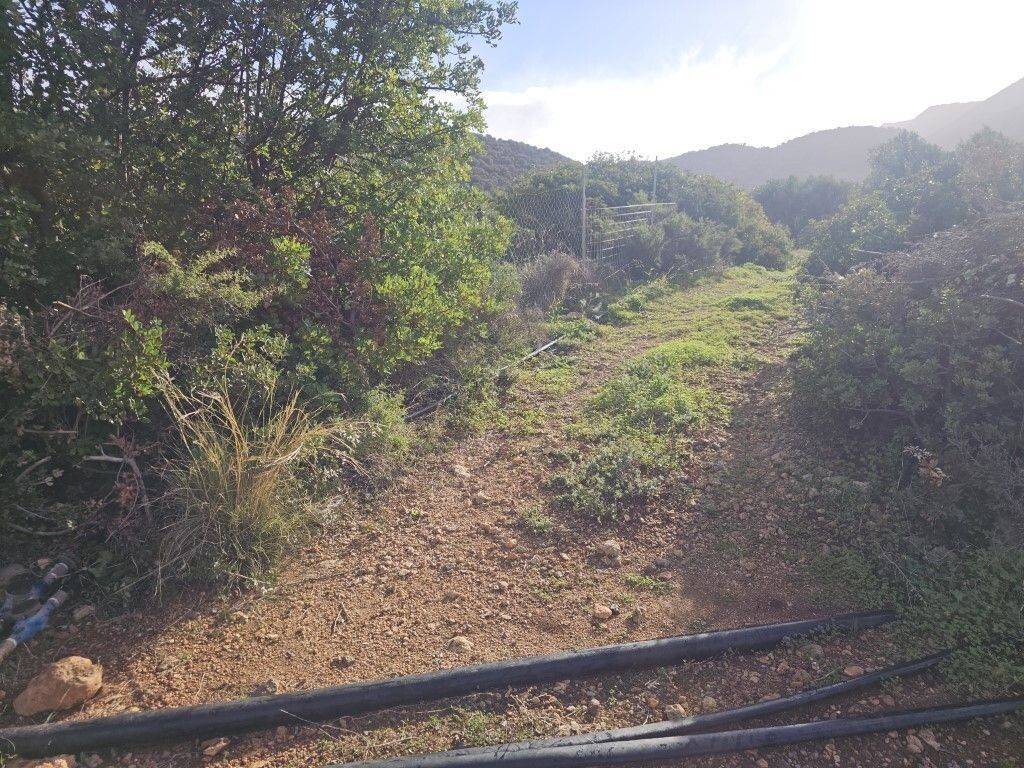 Plot - Grekodom 65150|1041812