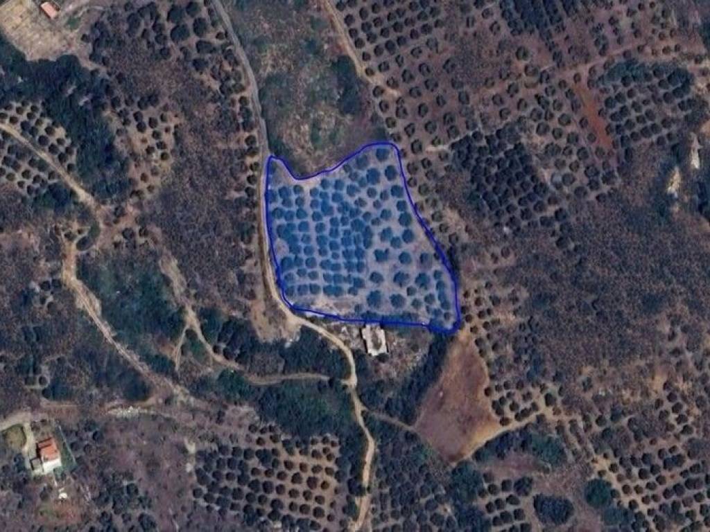 Plot - Grekodom 65150|1041832